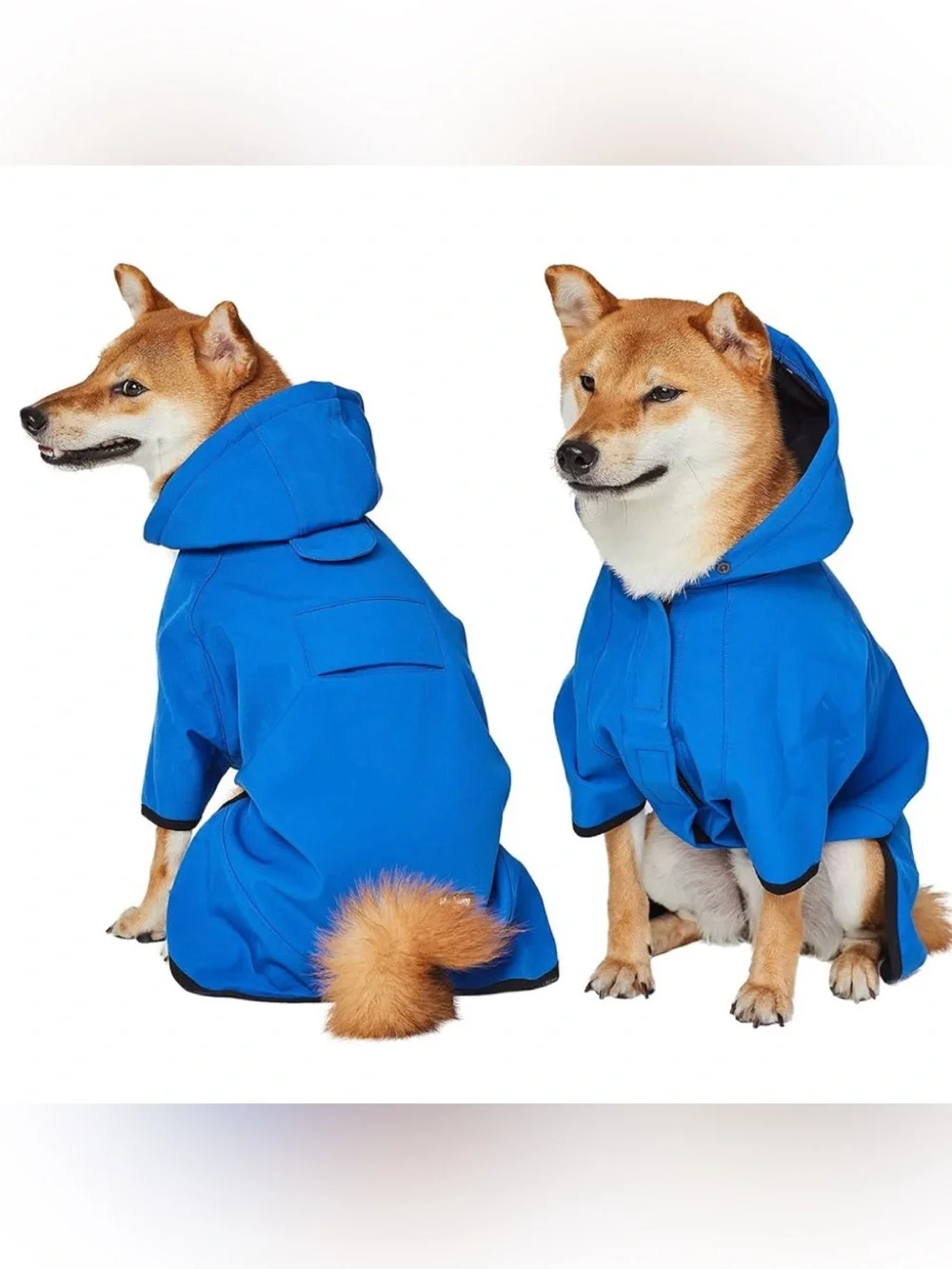 Blueberry Pet Royal Blue Dog Waterproof Softshell Jacket/Hooded Raincoat ~ 16 in